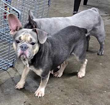 Photo of Betsy
