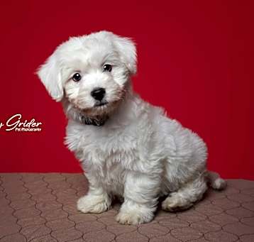 Photo of Armani