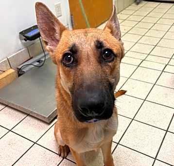 Photo of Maggie