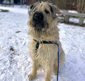 Photo of Walter