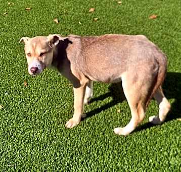 Photo of Spook 2429