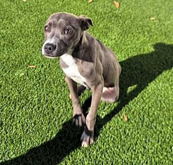 Photo of Jack 9422