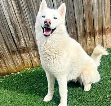 Photo of Luna Belle