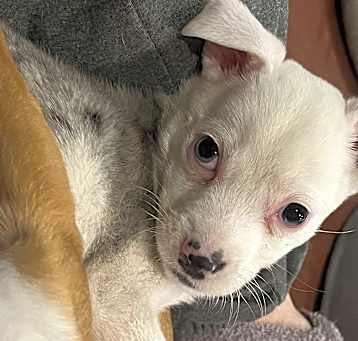 Photo of Sprout