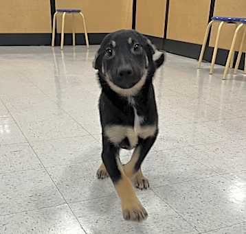 Photo of Bella