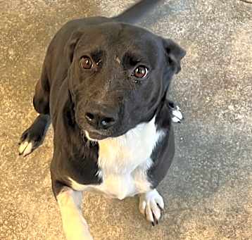 Photo of LITTLE SUNSHINE 2421
