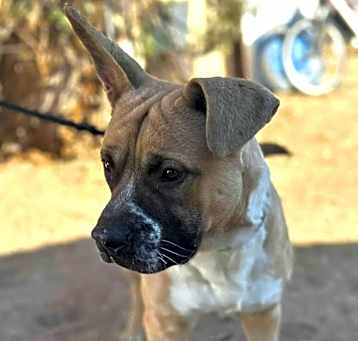 Photo of BILLY