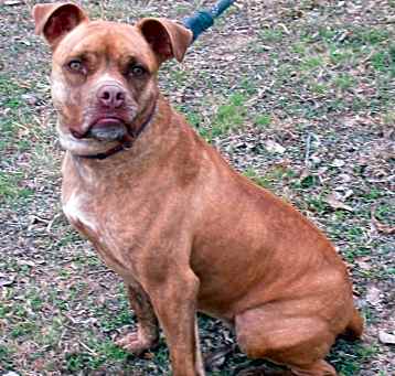 Photo of Stoney