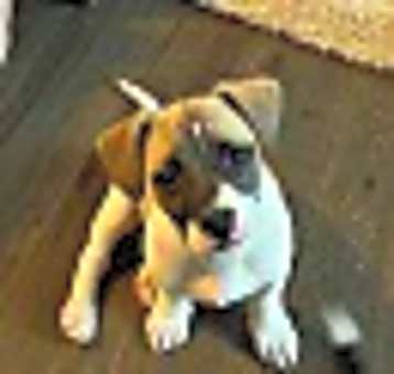 Photo of Tank