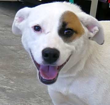 Photo of titan