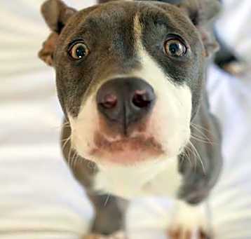 Photo of Lola