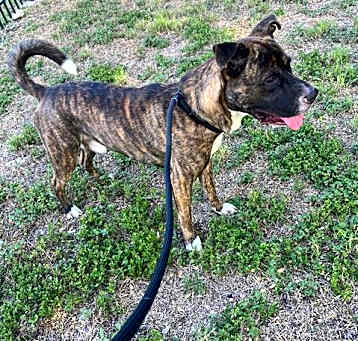 Photo of CASH