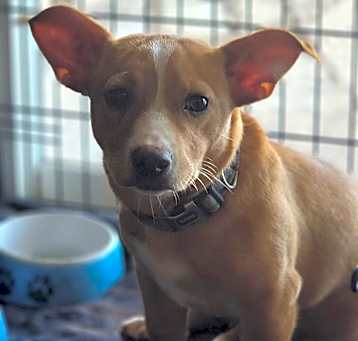 Photo of Norma