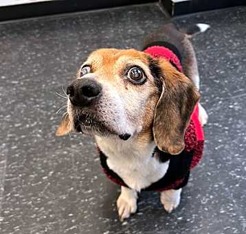 Photo of Charlie