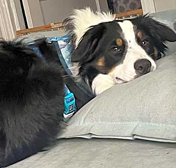Photo of Daisey