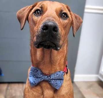 Photo of Axel