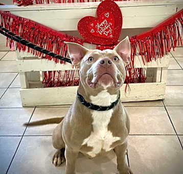 Photo of Wilbur