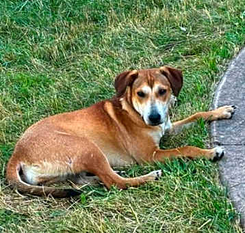 Photo of HONEY