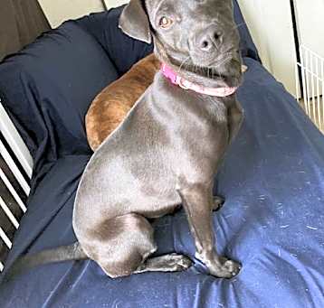 Photo of Lulu