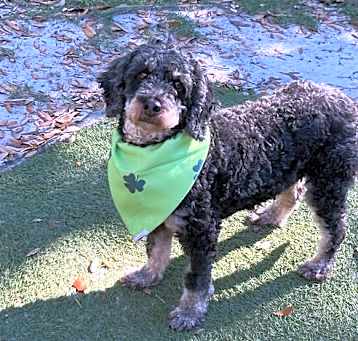 Photo of Esther
