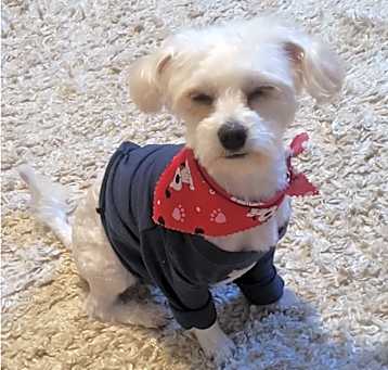 Photo of SATCHI