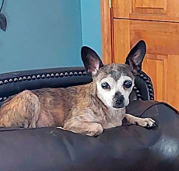 Photo of Lilly