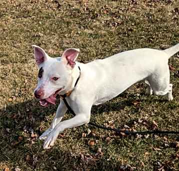 Photo of Rosie