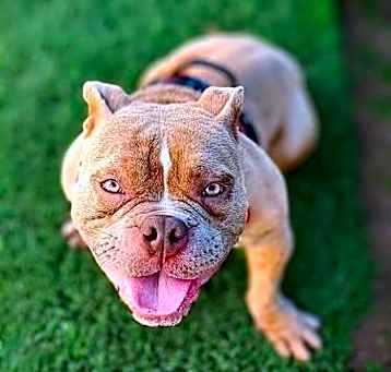 Photo of Cash