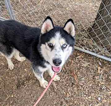 Photo of HERCULES