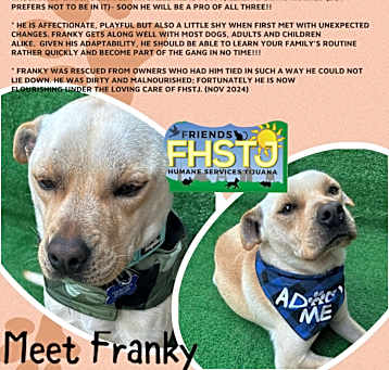 Photo of Franky