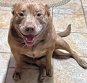 Photo of Willow