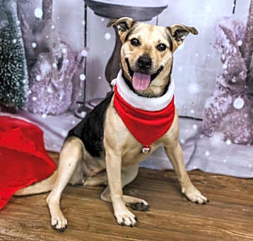 Photo of Baebee (sponsored)