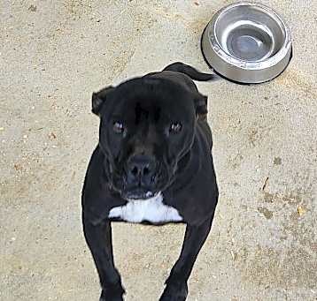 Photo of Sebastian