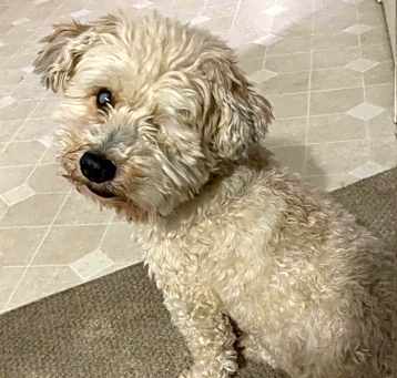 Photo of Arthur