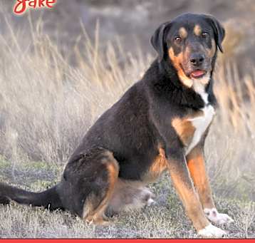 Photo of Jake