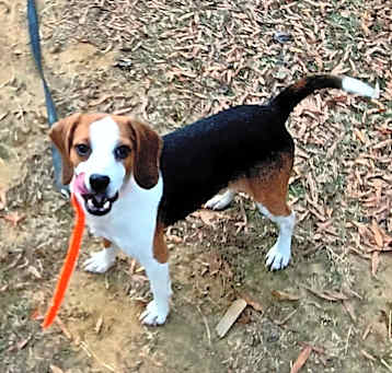 Photo of Skippy
