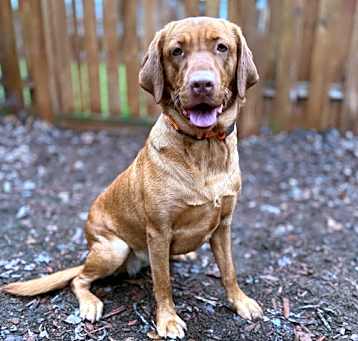 Photo of Kita