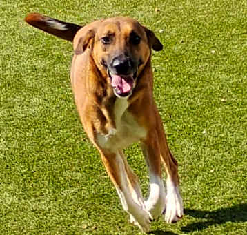 Photo of Reesa