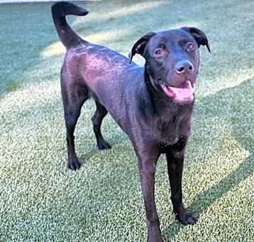 Photo of Coal