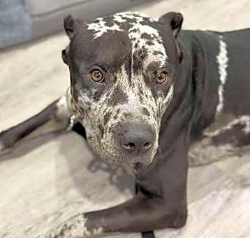 Photo of Storm