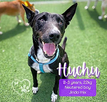 Photo of Huchu