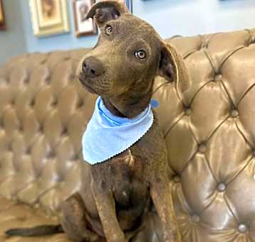 Photo of Beanie