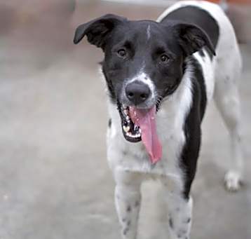 Photo of Walter