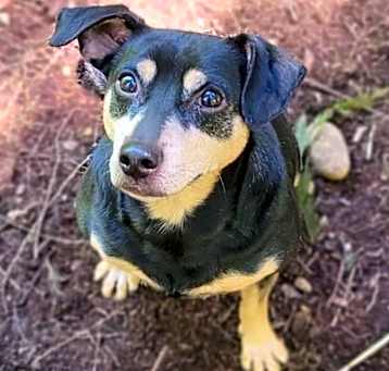 Photo of CHUCHO