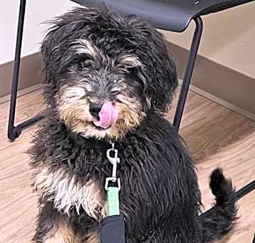 Photo of Hershey