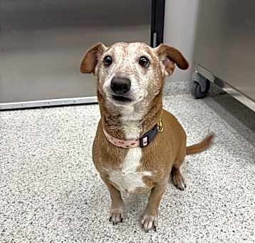 Photo of Molly