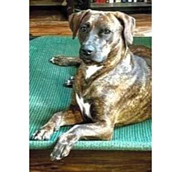 Photo of Holly
