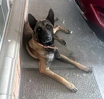 Photo of Achilles