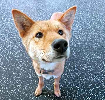 Photo of CREAM