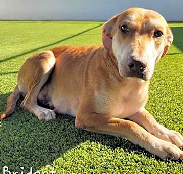Photo of Bridget 6671